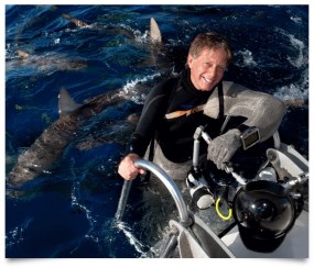 Screen Shot 2019-07-23 at 2.53.39 PM