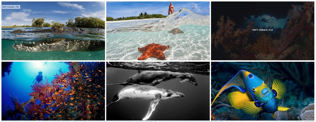 Screen Shot 2019-07-23 at 3.24.22 PM